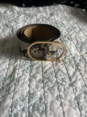 B-Low the Belt Snake-Print Leather Belt with Gold Oval Buckle - Black/Tan